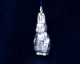 Peter Rabbit - Cazenovia Abroad