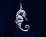 The Sea Horse - Cazenovia Abroad