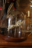 Carousel Glass Dome - Cazenovia Abroad