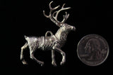 Prancer the Reindeer - Cazenovia Abroad