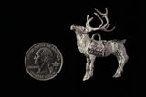 Vixen the Reindeer - Cazenovia Abroad