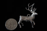 Blizten the Reindeer - Cazenovia Abroad