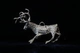Donner the Reindeer - Cazenovia Abroad