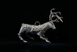 Donner the Reindeer - Cazenovia Abroad