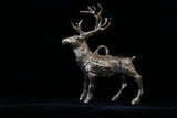 Comet the Reindeer - Cazenovia Abroad