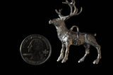 Comet the Reindeer - Cazenovia Abroad