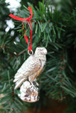 The Eagle - Cazenovia Abroad