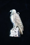 The Eagle - Cazenovia Abroad
